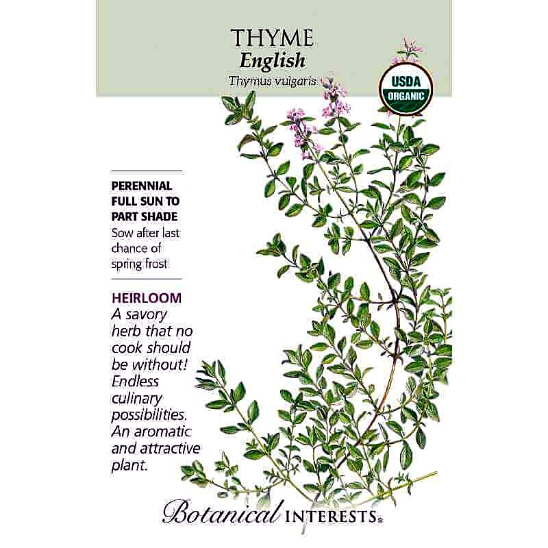 Organic English Thyme Seeds