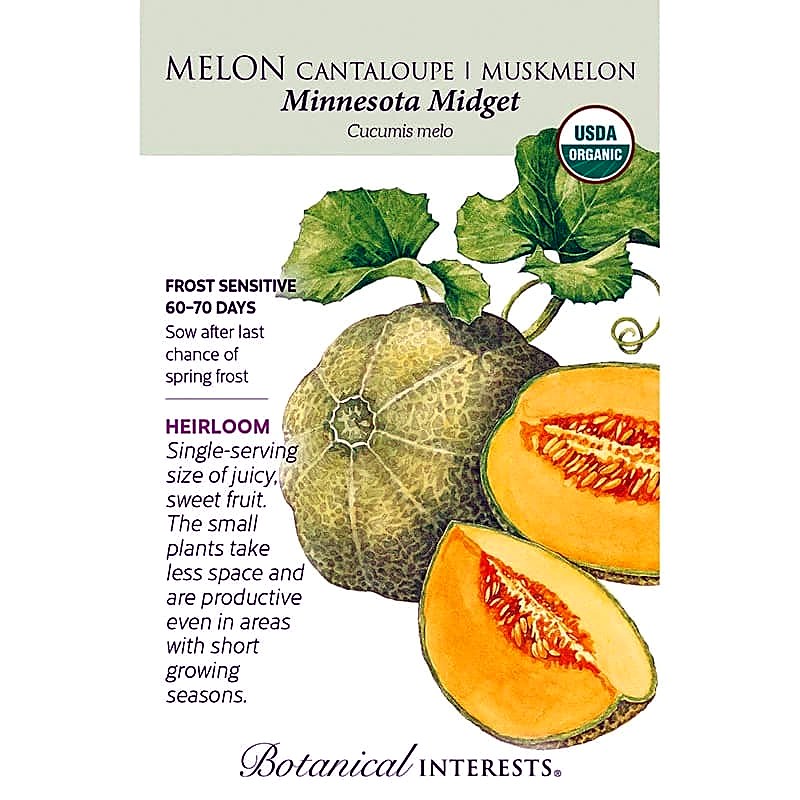 Organic Minnesota Midget Muskmelon Seeds