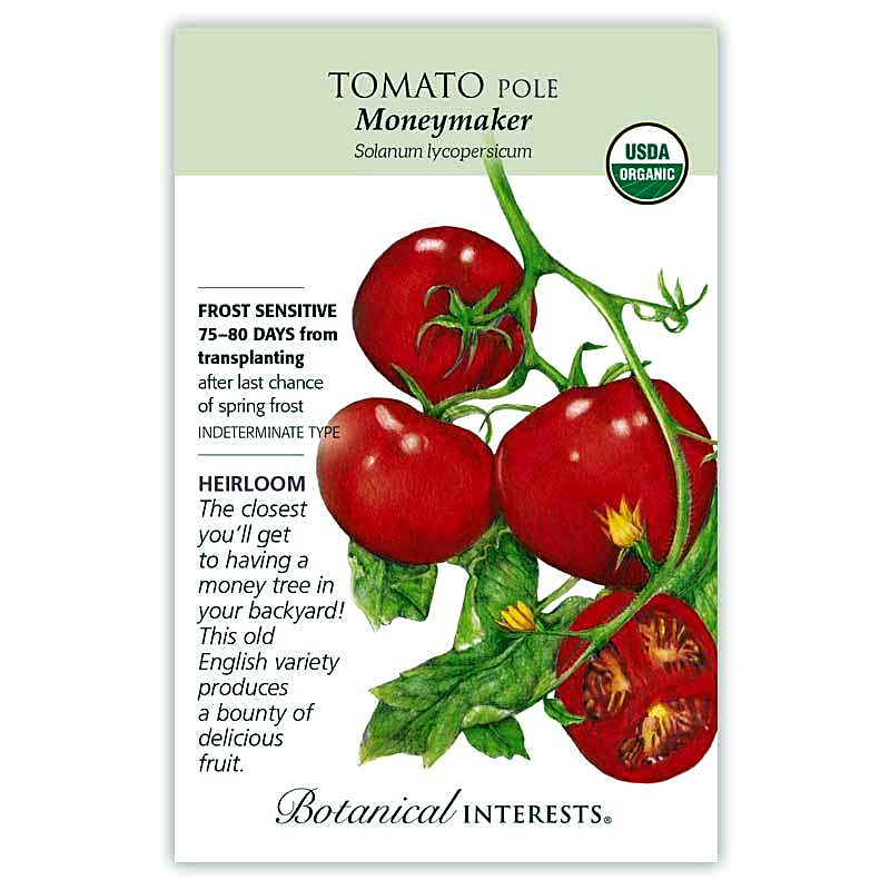 Moneymaker Pole Tomato Seeds (Organic)