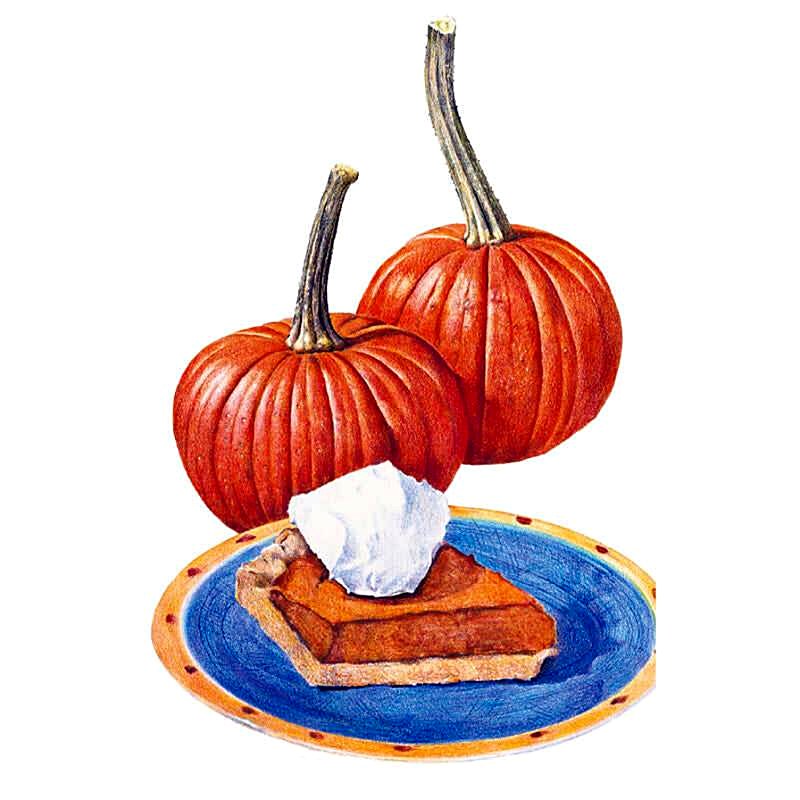 Organic Sugar Pie Pumpkin Seeds