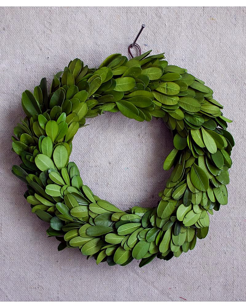 Petite Preserved Boxwood Wreath — 6"