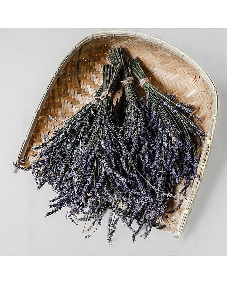 Organic Dried French Lavender Bunch — Medium (250+ Stems)