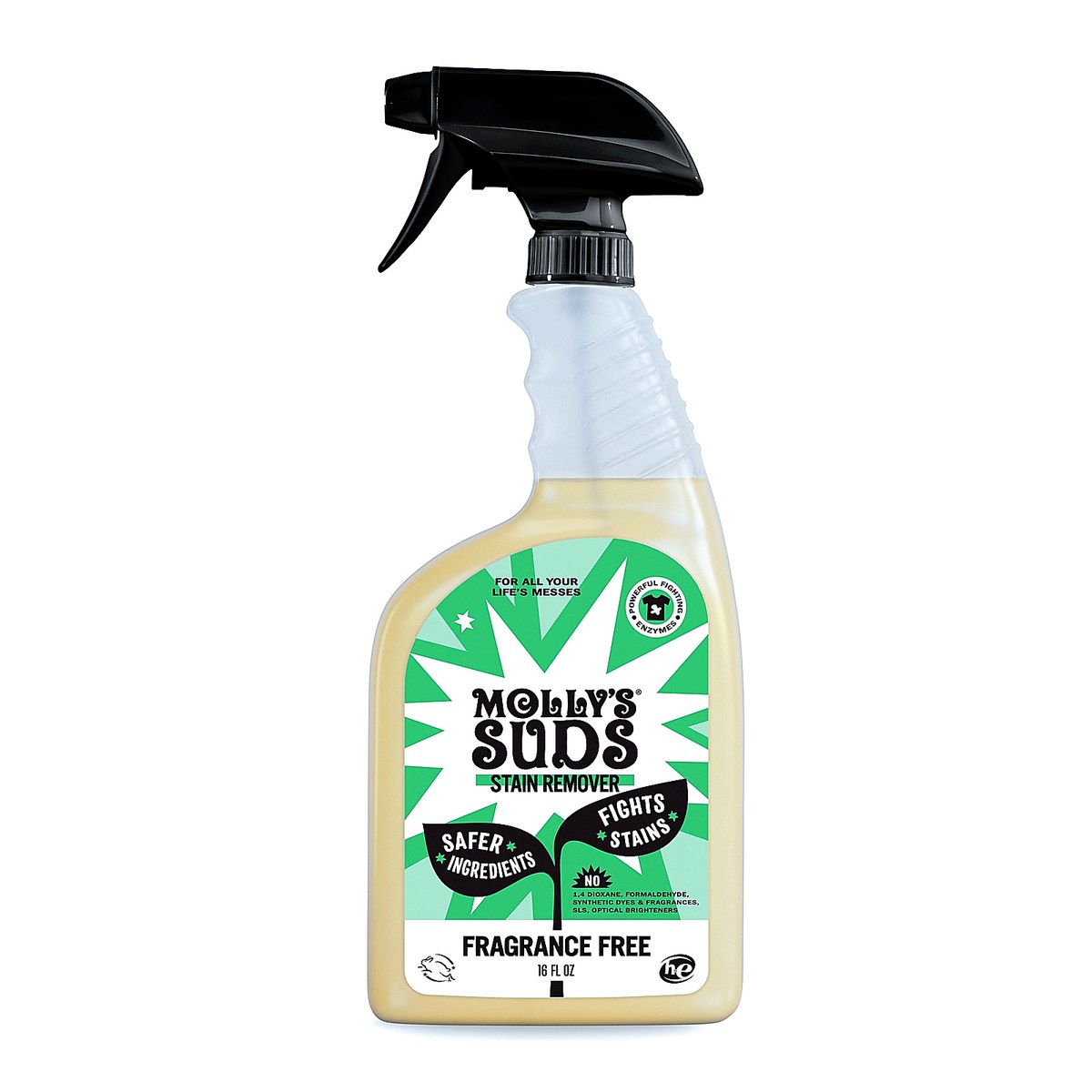 Laundry Stain Remover Spray, Fragrance Free — 16 fl oz