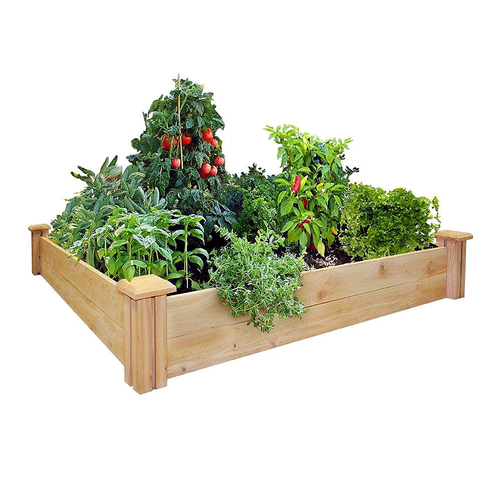 Greenes Fence Premium Cedar Raised Bed, 48 x 48 x 7 in (RC 4C4)