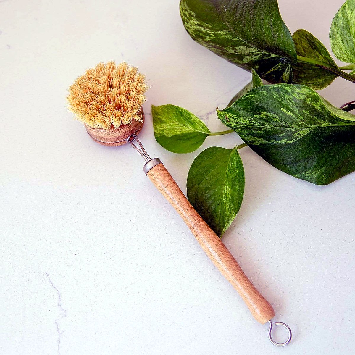 No Tox Life CASA AGAVE Long Handle Dish Brush, White Teakwood