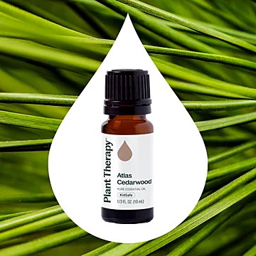 Plant Therapy Organic Atlas Cedarwood Essential Oil, 10 mL